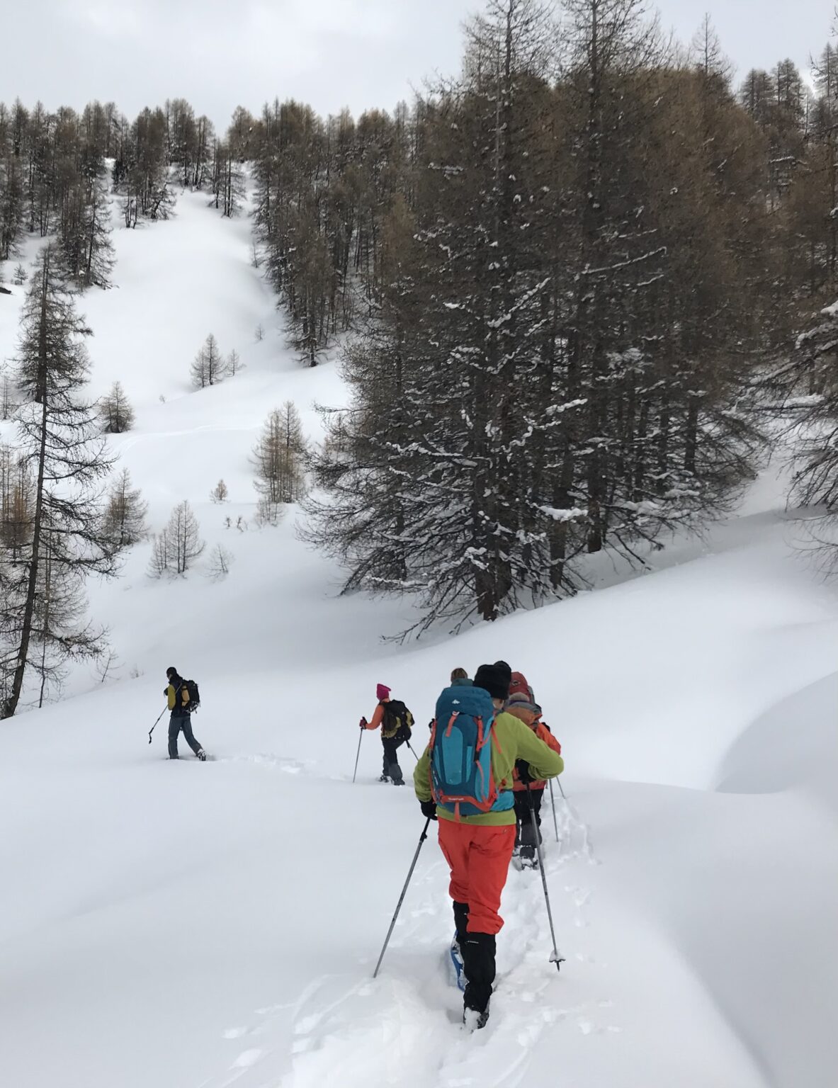randonnée raquette en pleine nature entre montagne et forêt