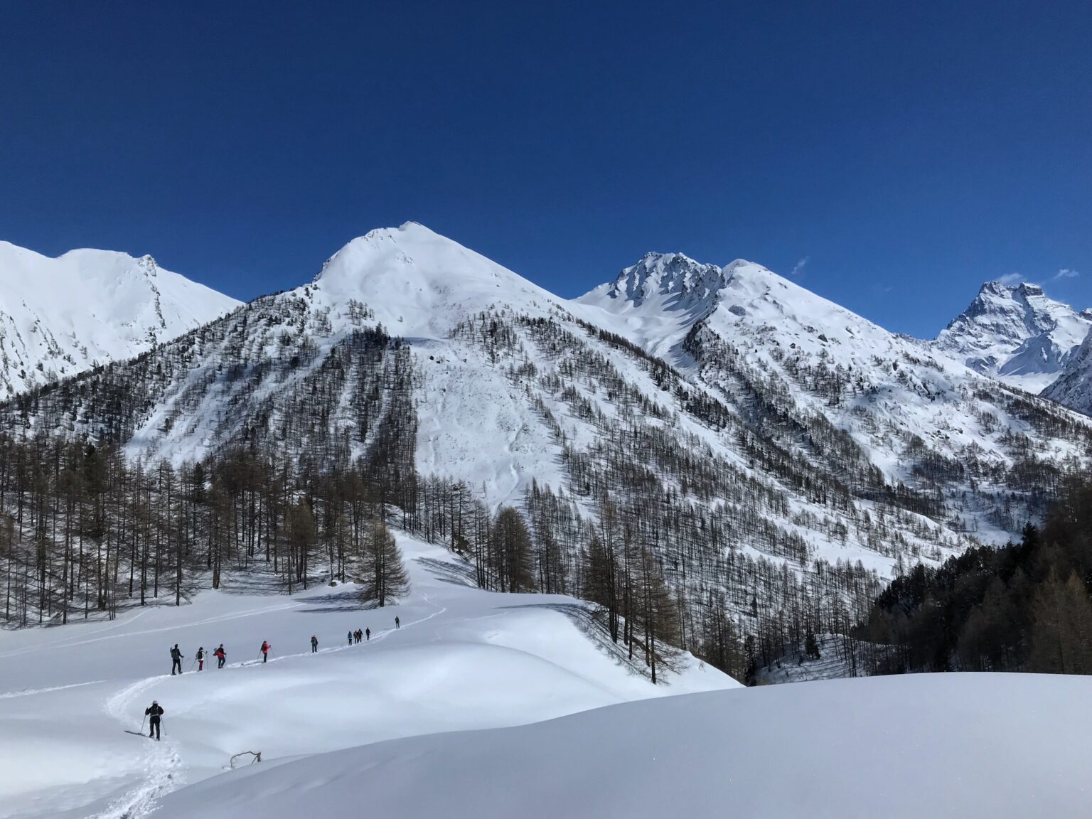 Randonnée en raquettes à neige dans les montagnes – activité nature hivernale en pleine forêt